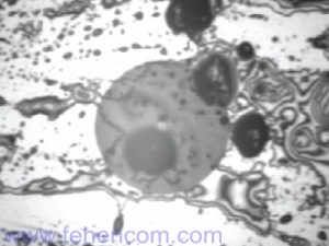 An example image of a contaminated optical connector obtained using an EXFO FIP-400 video microscope