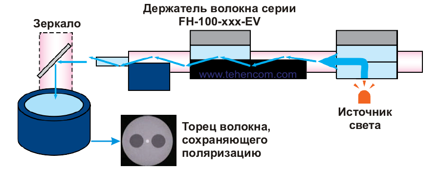 На цьому малюнку схематично показано як апарати Fujikura FSM-100M+ та Fujikura FSM-100P+ отримують зображення торців волокон. Апарати Fujikura FSM-100M+ та FSM-100P+ можуть отримувати зображення торців волокон